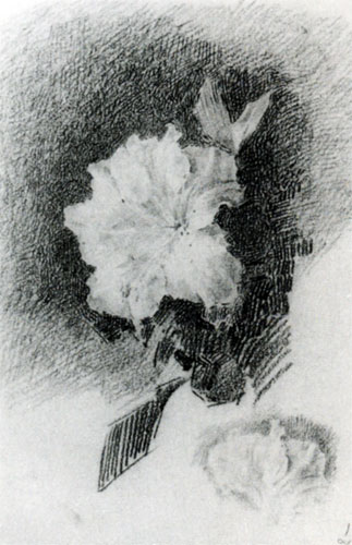 М. А. Врубель Белая азалия с листьями. 1886-1887