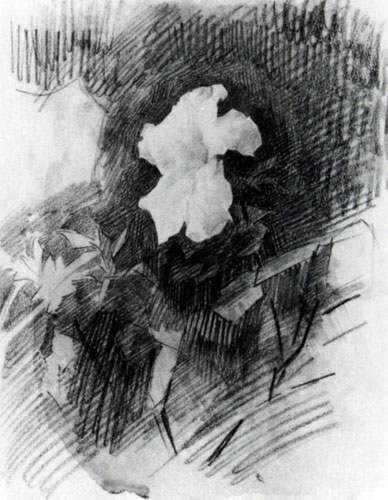М. А. Врубель Белая азалия. 1886-1887