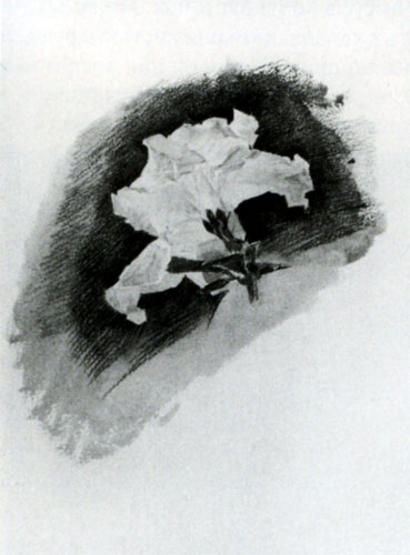 М. А. Врубель Белая азалия без стебля. 1886-1887