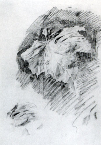 М. А. Врубель Лист бегонии. 1886-1887